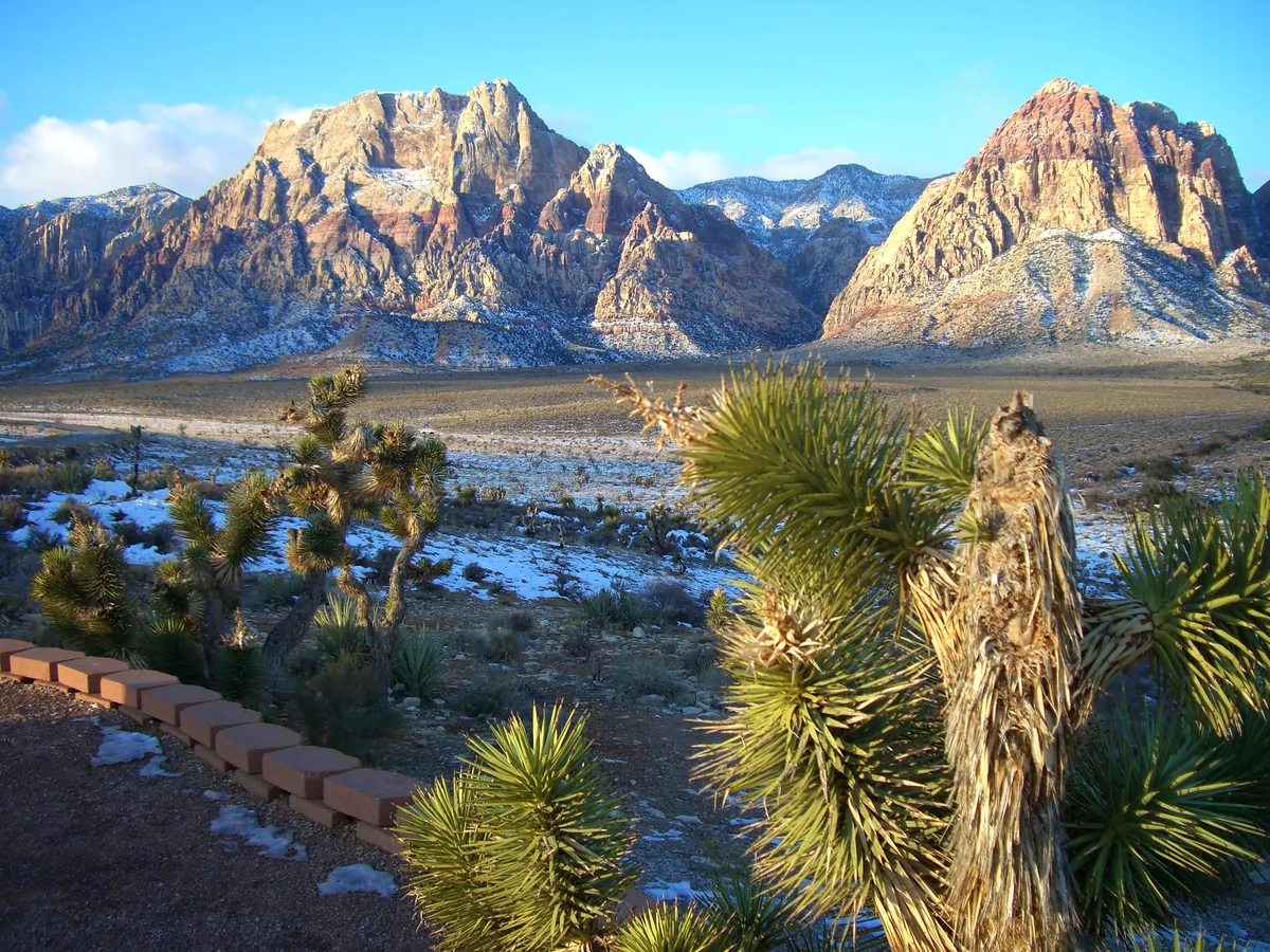Snow-dusted peaks and Joshua trees in the Southern Nevada desert