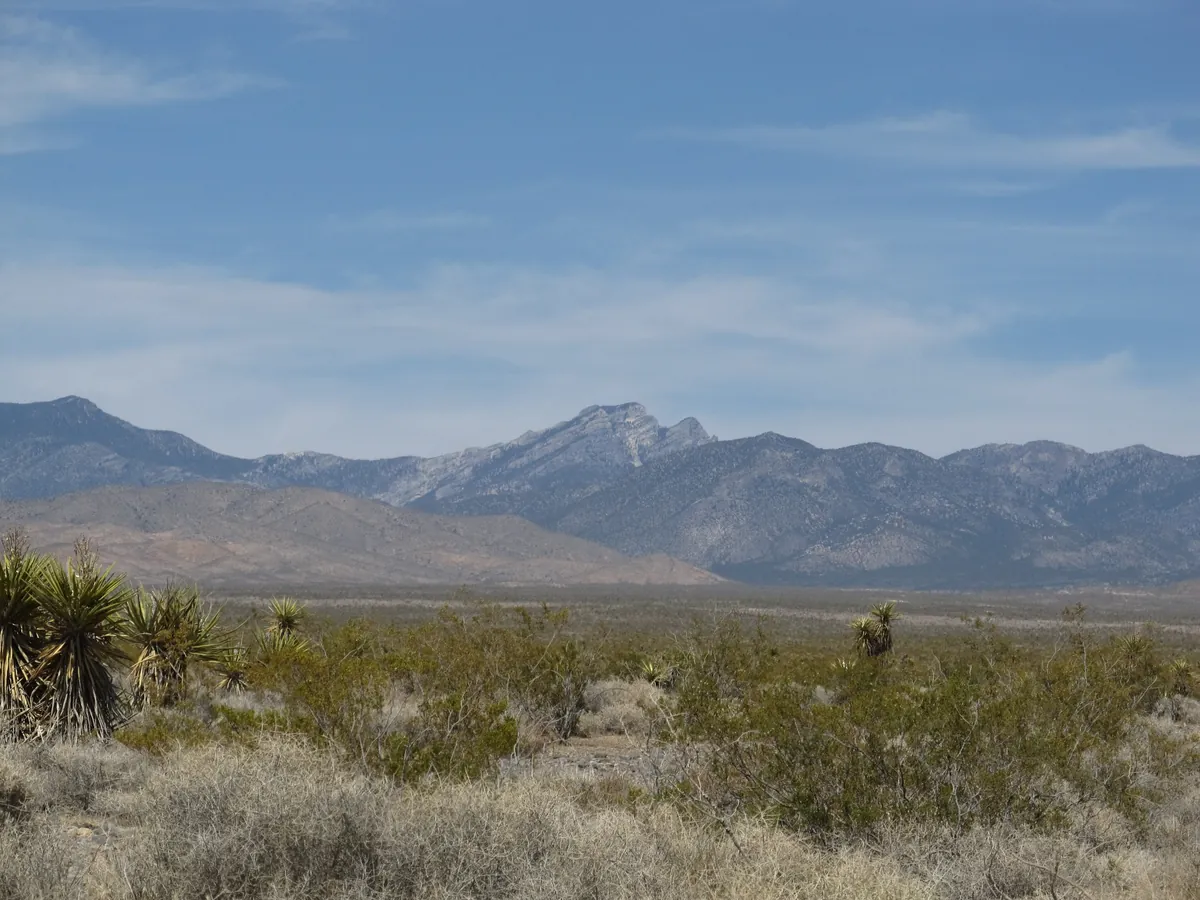 The Spring Mountains ridge above yucca and desert brush near Pahrump